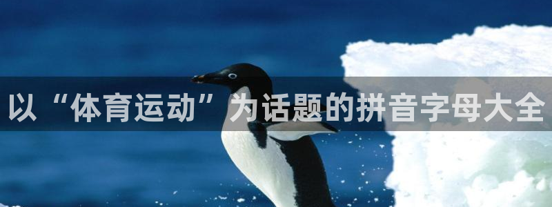光速体育nba在线观看