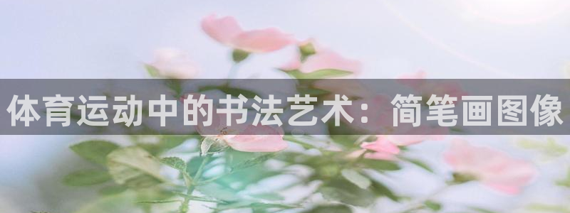 光速体育看NBA直播