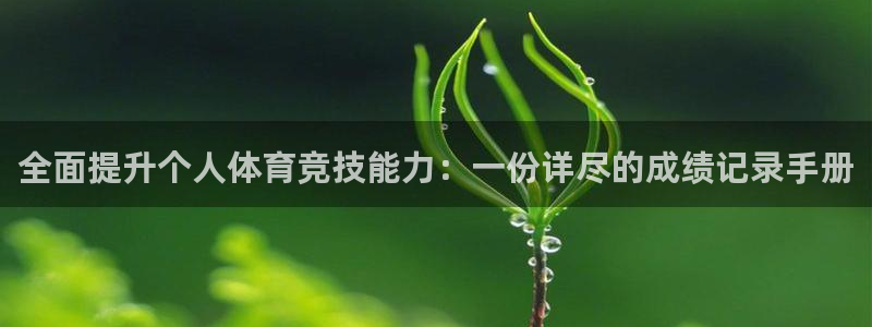 光速体育在线直播篮球
